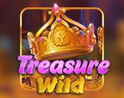 Treasure Wild